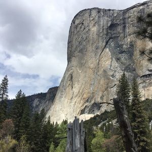 Meet your Posher, Kelli